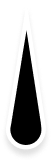 ikona